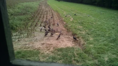 Talbot County - Photo 5