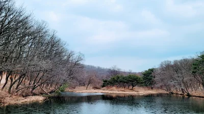 Gimpo-si - Photo 3