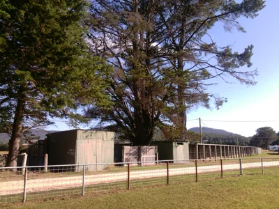 St Marys - Photo 4