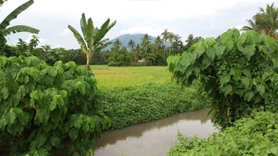 Iriga City - Photo 3