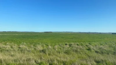 Bannockburn - Photo 3