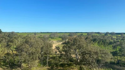 Bannockburn - Photo 4