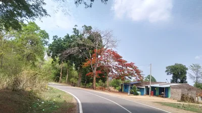 Nabarangpur - Photo 4