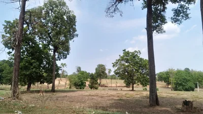 Nabarangpur - Photo 5