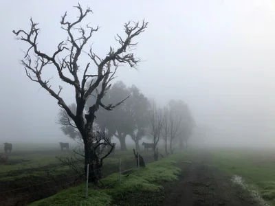 Yarloop - Photo 3