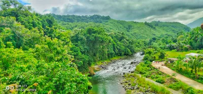 Adams - Photo 2