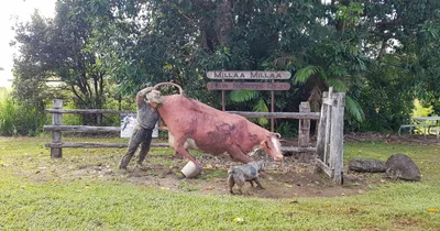 Yungaburra - Photo 5
