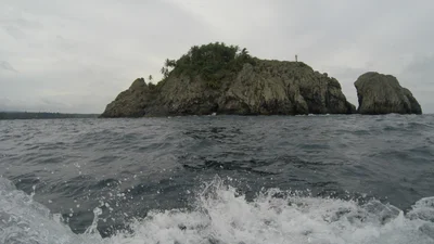 Santana - Photo 2