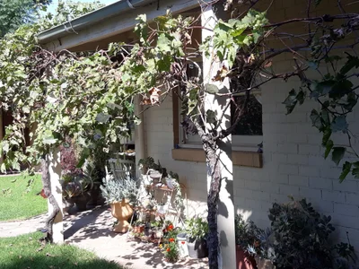 Jerilderie - Photo 5