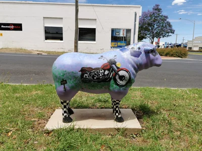 Kaniva - Photo 3