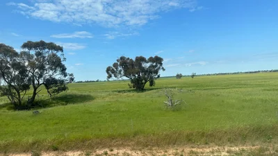 Kaniva - Photo 4