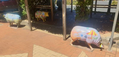 Kaniva - Photo 5