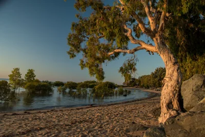 Mackay - Photo 2