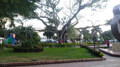 Gigante - Photo 2