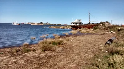 Punta Alta - Photo 2