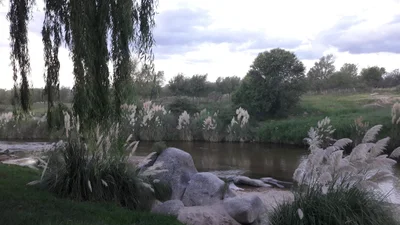 Panaholma - Photo 2