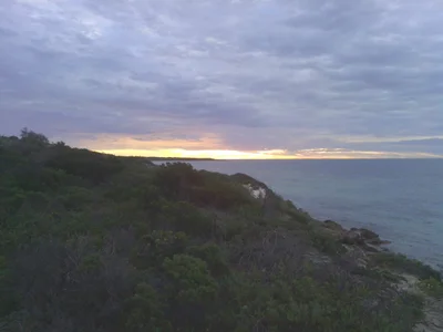 Corny Point - Photo 4