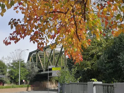 Moss Vale - Photo 5