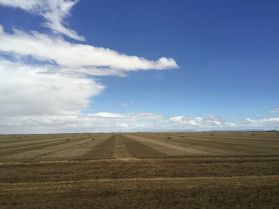 Rupanyup - Photo 5