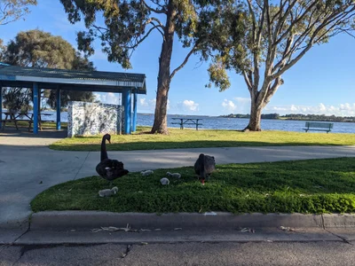 Paynesville - Photo 4