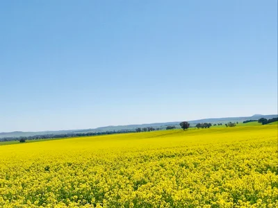 Greenethorpe - Photo 4