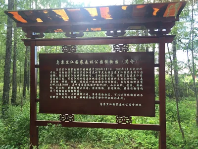 Hulin - Photo 5