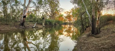 Robinvale - Photo 3