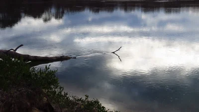 Tathra - Photo 5