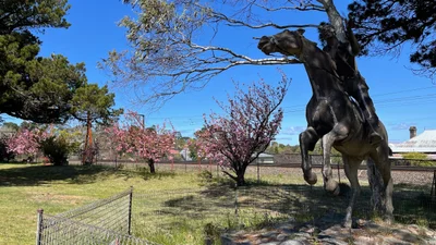 Blackheath - Photo 4