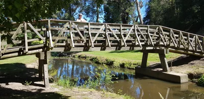 Foster - Photo 5