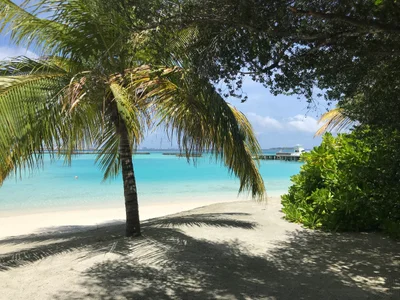 Furanafushi Island - Photo 3