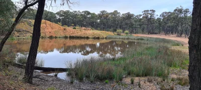 Dunolly - Photo 2
