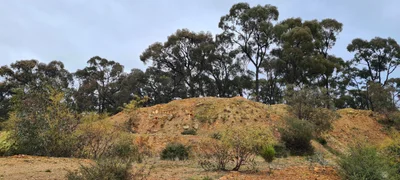 Dunolly - Photo 3