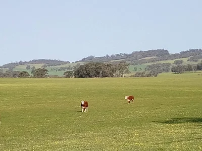 Wandering - Photo 2