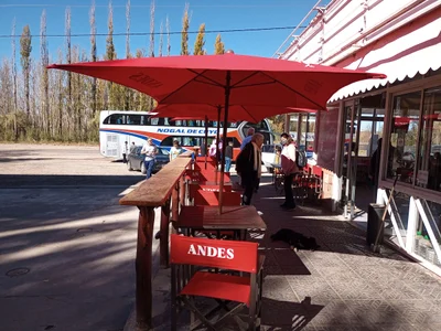 El Sosneado - Photo 3