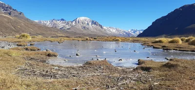 El Sosneado - Photo 4