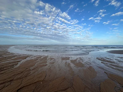 Ingham - Photo 2