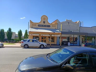 West Wyalong - Photo 5