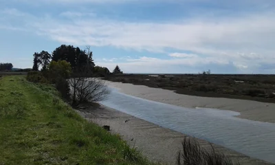 Riwaka - Photo 5