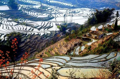 Yuanyang County - Photo 4