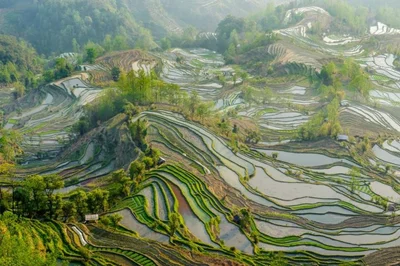 Yuanyang County - Photo 5