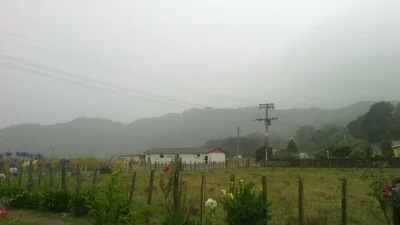 Torere - Photo 2
