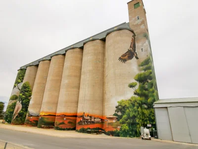 Karoonda - Photo 2