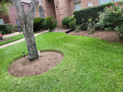 Missouri City - Photo 2