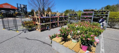 Bellport - Photo 3