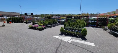 Bellport - Photo 5