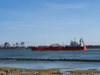Hoek van Holland - Photo 3