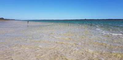 Lake Clifton - Photo 3
