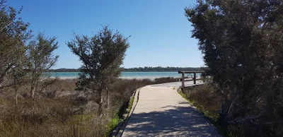 Lake Clifton - Photo 4