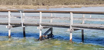 Lake Clifton - Photo 5